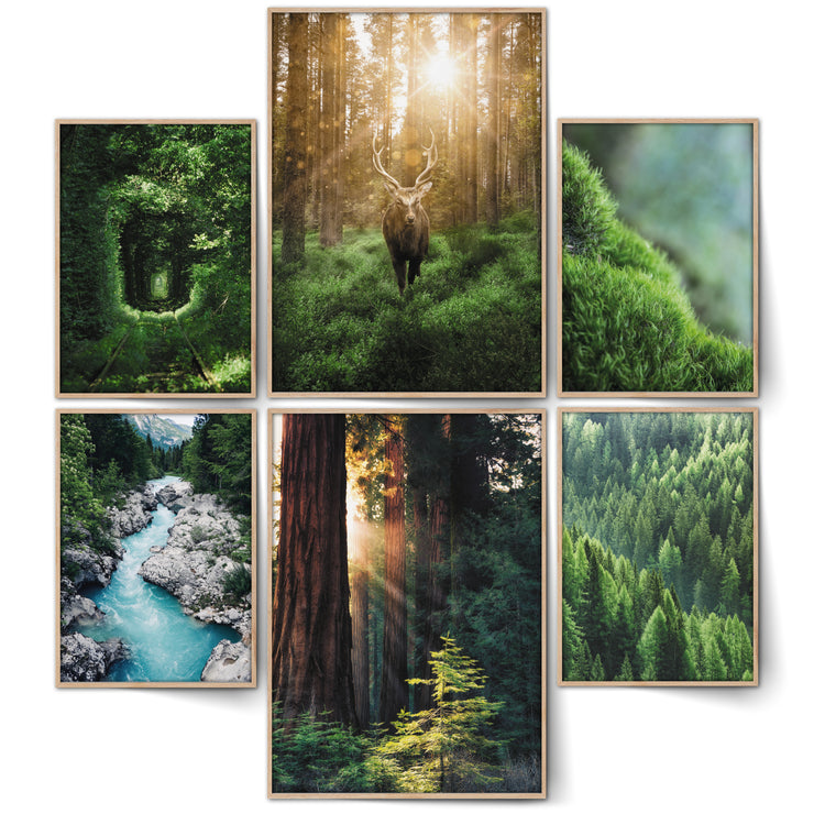 Green Forest Bilder Set