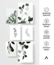 Eukalyptus Poster Set