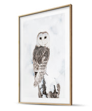 Majestic Owl & Pampas Grass Winter Poster