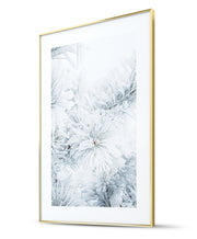 Snowy Pampas & Frozen Fir Branch Winter Poster