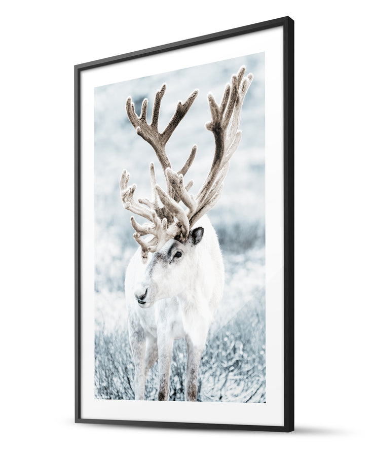 Fairy Tale Reindeer & Iridum Husky Winter Poster