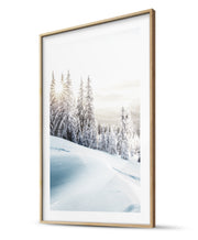 Fir Powder & Frozen Tree Winter Poster
