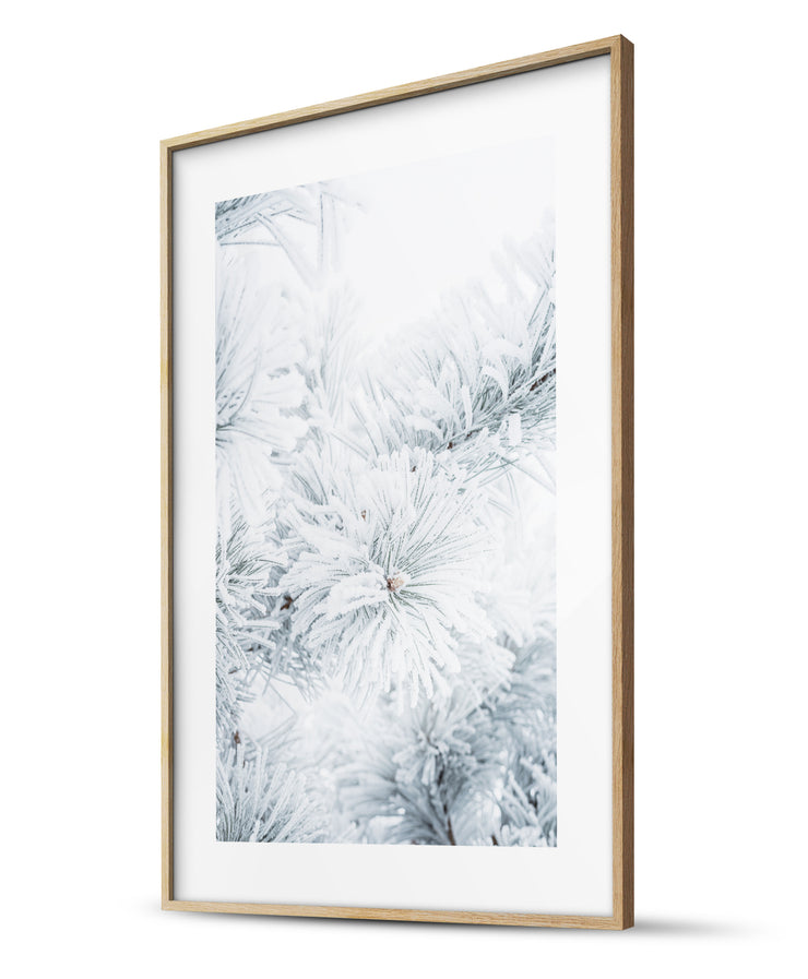 Snowy Pampas & Frozen Fir Branch Winter Poster