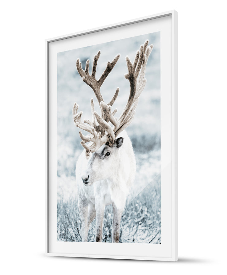 Fairy Tale Reindeer & Iridum Husky Winter Poster
